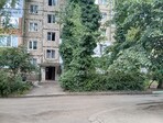 photo_low241944