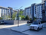 photo_low242533
