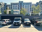 photo_low242534