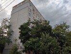 photo_low243788