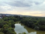 photo_low243793