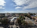 photo_low245767