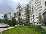 photo_low245843