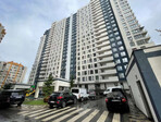 photo_low246165
