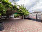 photo_low113840