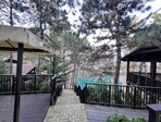 photo_low226556