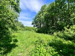 photo_low228122