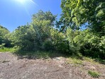 photo_low228123