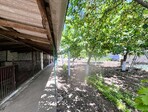 photo_low228283