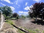 photo_low228284