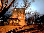 photo_low233431
