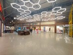 photo_low235709
