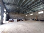 photo_low240718
