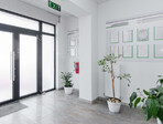photo_low244232