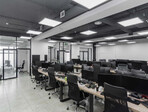 photo_low244235