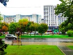 photo_low244519