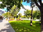 photo_low244523