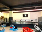 photo_low244526