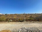 photo_low177911