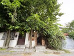 photo_low239520
