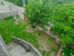 photo_low239685