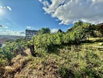 photo_low241739