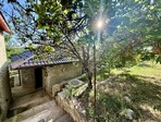 photo_low241743