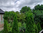 photo_low241780