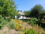 photo_low243318
