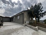 photo_low243379