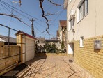 photo_low244168