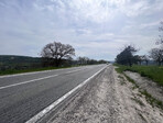 photo_low233862