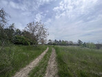 photo_low233863