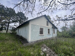 photo_low233868
