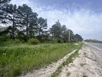 photo_low233876