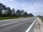 photo_low233874