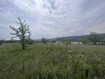 photo_low233875