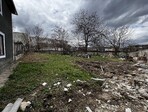 photo_low236207