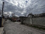 photo_low236209