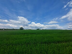 photo_low239008