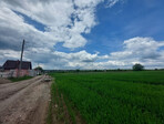 photo_low239009