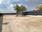 photo_low241703