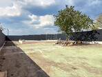 photo_low241706