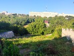photo_low243429