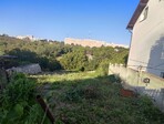 photo_low243430